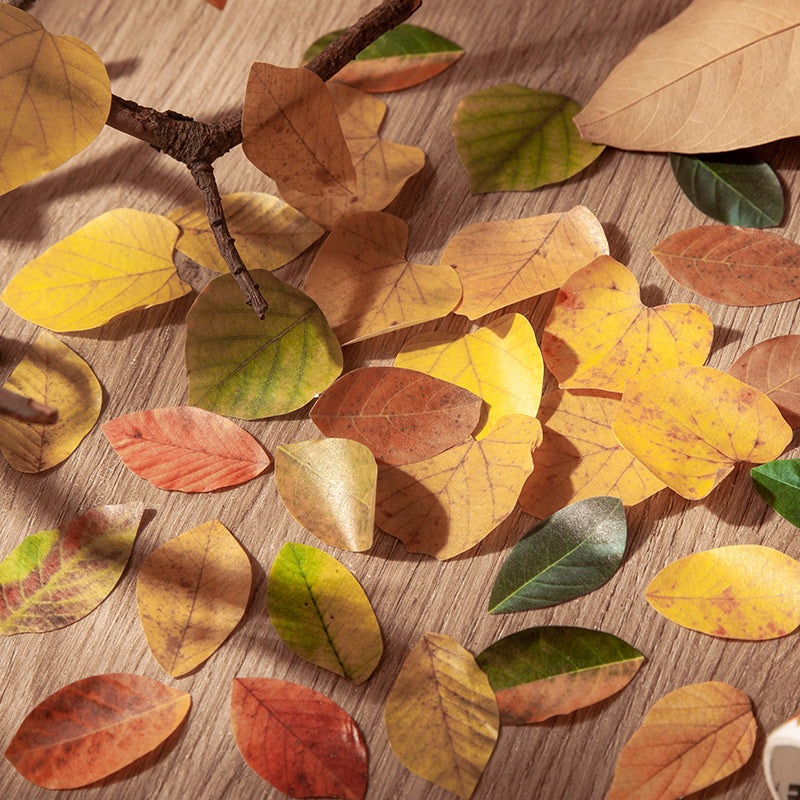 Fallen Leaves of Champs-Shaped Washi Tape