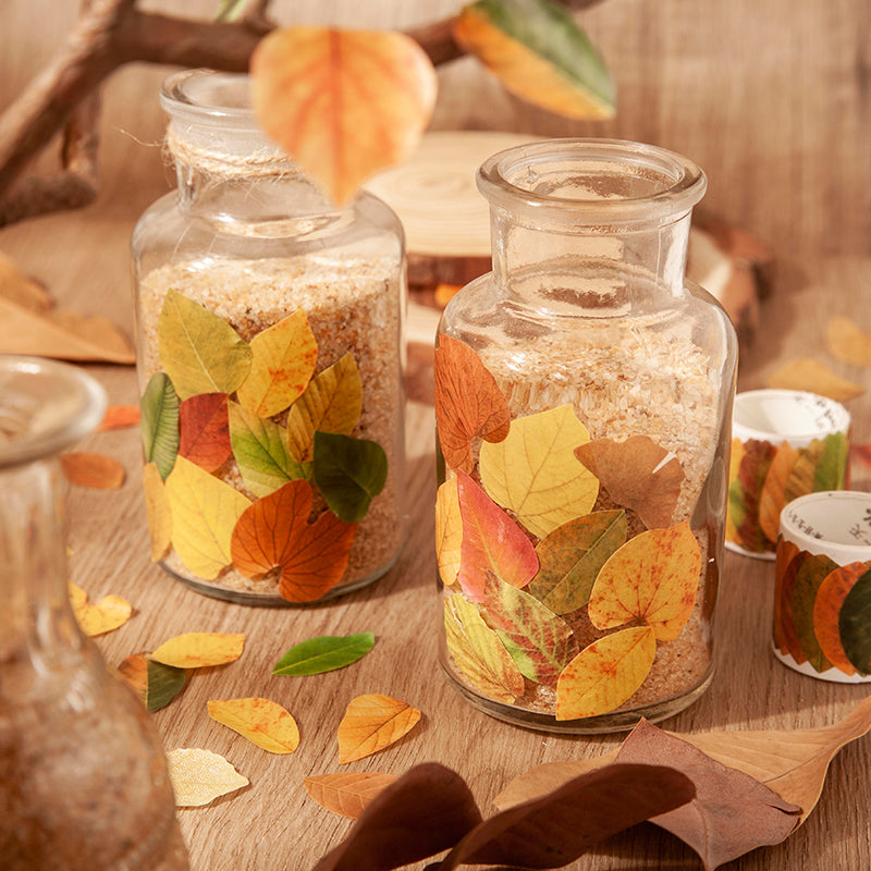 Fallen Leaves of Champs-Shaped Washi Tape
