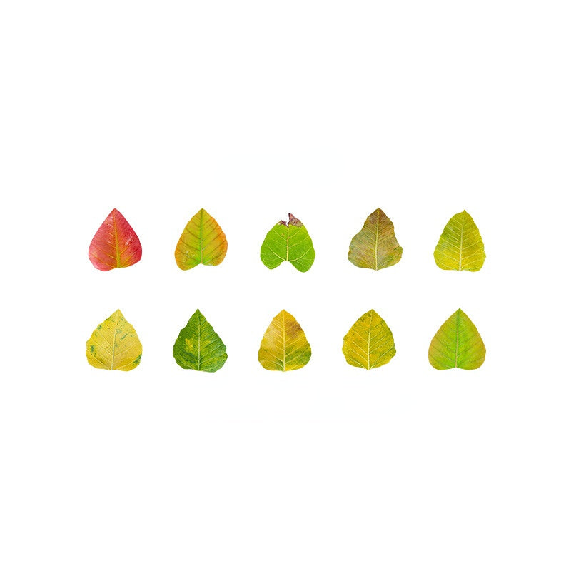 Fallen Leaves of Champs-Shaped Washi Tape