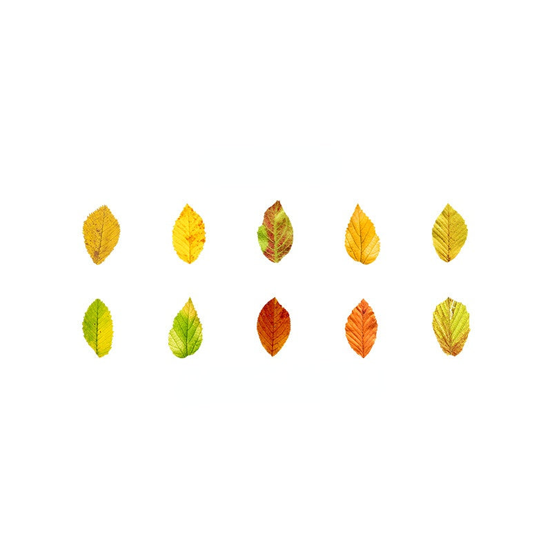 Fallen Leaves of Champs-Shaped Washi Tape