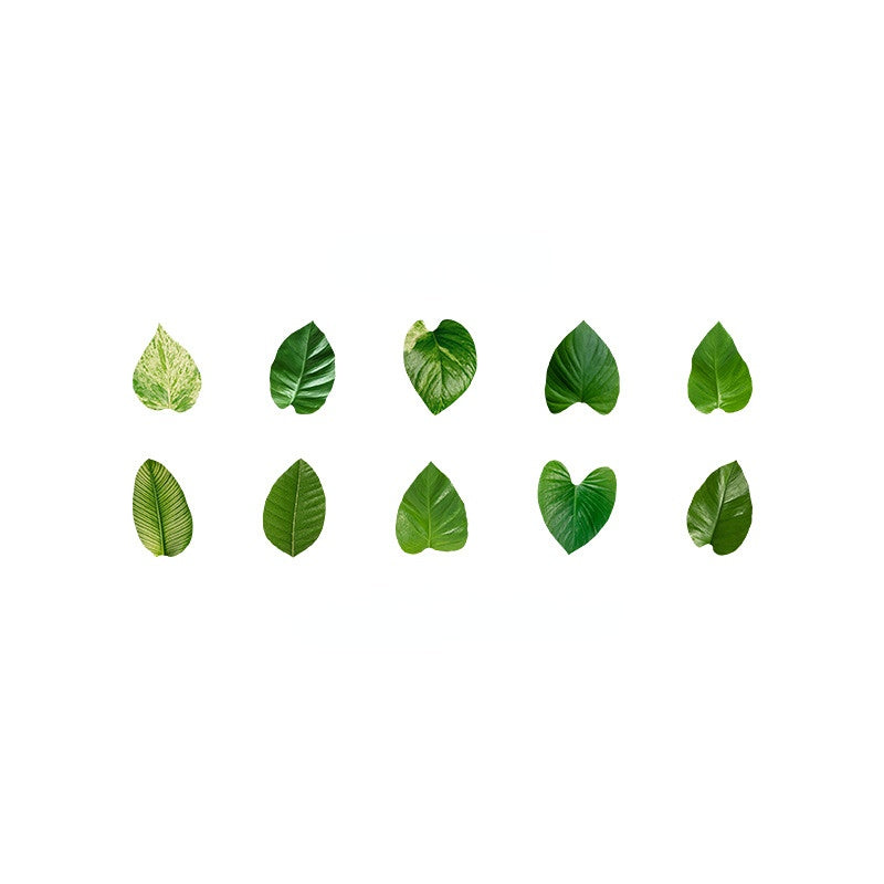 Fallen Leaves of Champs-Shaped Washi Tape