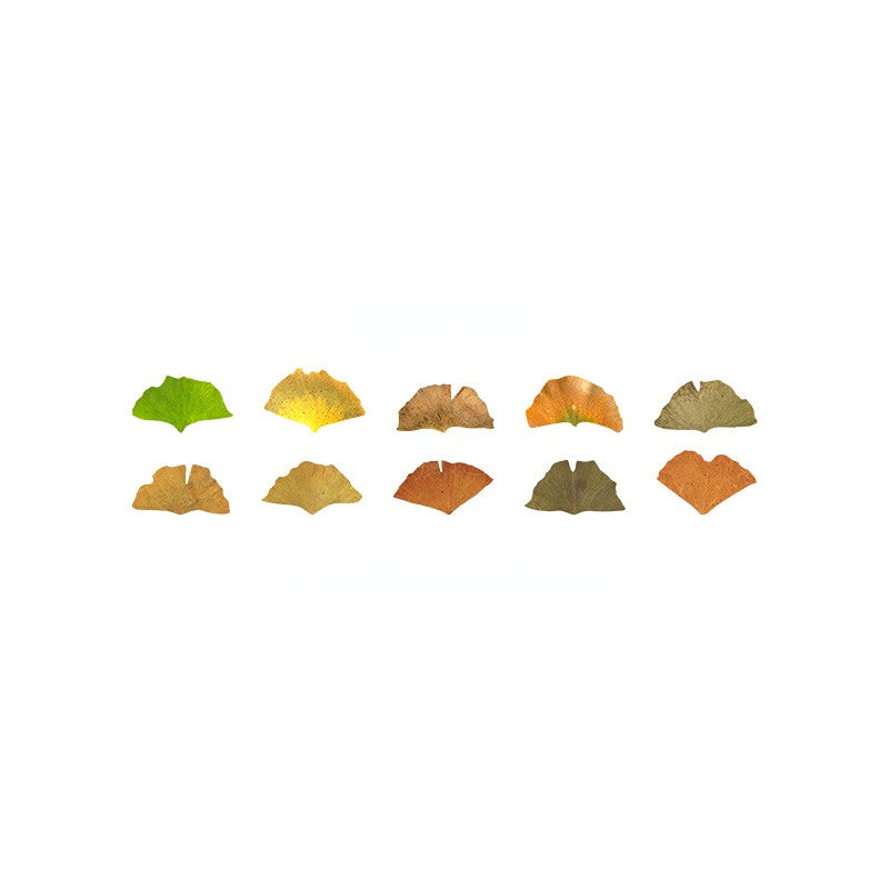 Fallen Leaves of Champs-Shaped Washi Tape