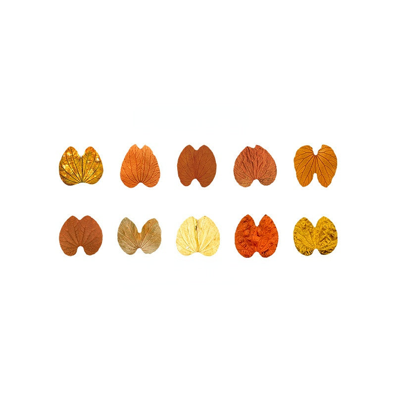 Fallen Leaves of Champs-Shaped Washi Tape